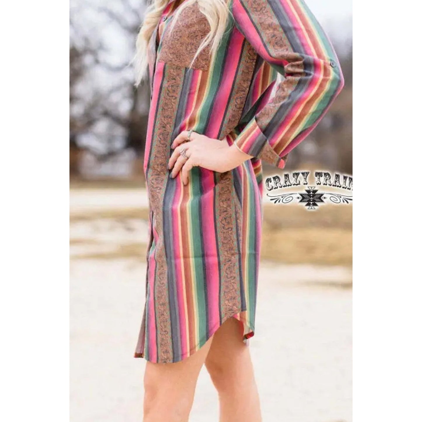 GIDDY UP BUTTON DOWN DRESS/TOP