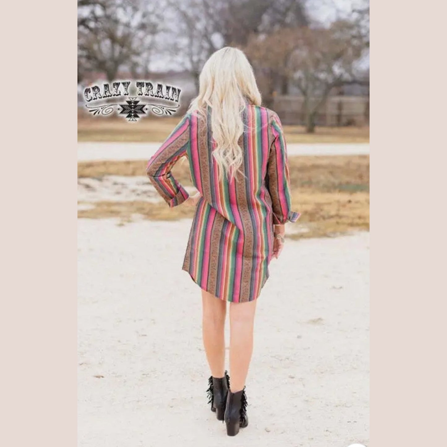 GIDDY UP BUTTON DOWN DRESS/TOP
